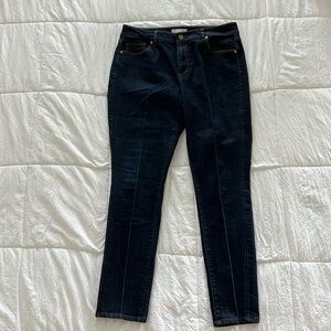 Dark Wash Loft Pant/Jean Size 30/10